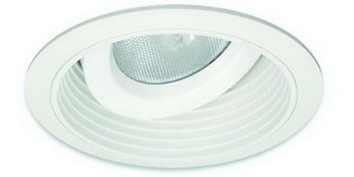 6" PAR30 Adjustable Baffle