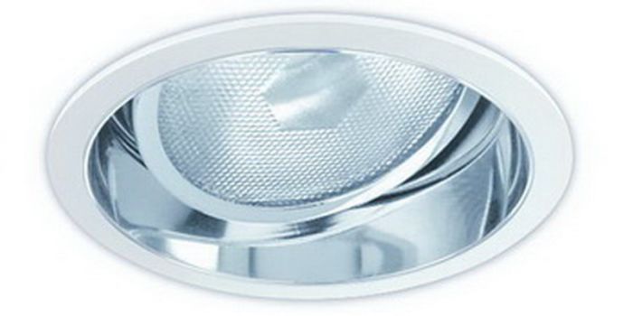 6" PAR30 Adjustable Reflector