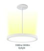 12" LumenPad Round LED Downlight Pendant Mount 2000LM (22W)
