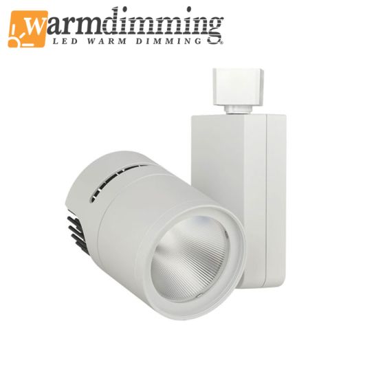 Apollo 15 LED Track Head 1500lm (21W) 