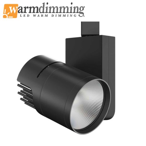 Apollo 30 LED Track Head 2900lm (32W) 