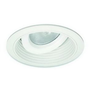 6" PAR30 Adjustable Baffle