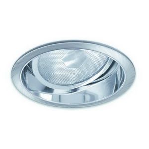 6" PAR38 Adjustable Reflector