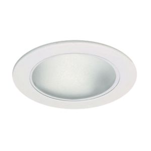 4" Economy LED Lensed (Dimmable)
