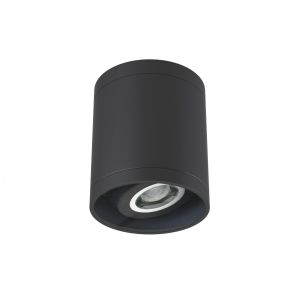 4" Round Adjustable Ceiling Downlight (IP65) 700lm (9W)