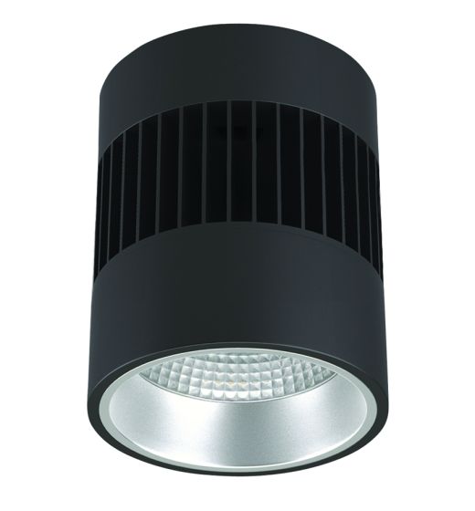  6" Lumen Cannon LED Pendant/Ceiling Mount 10,000lm (100W)